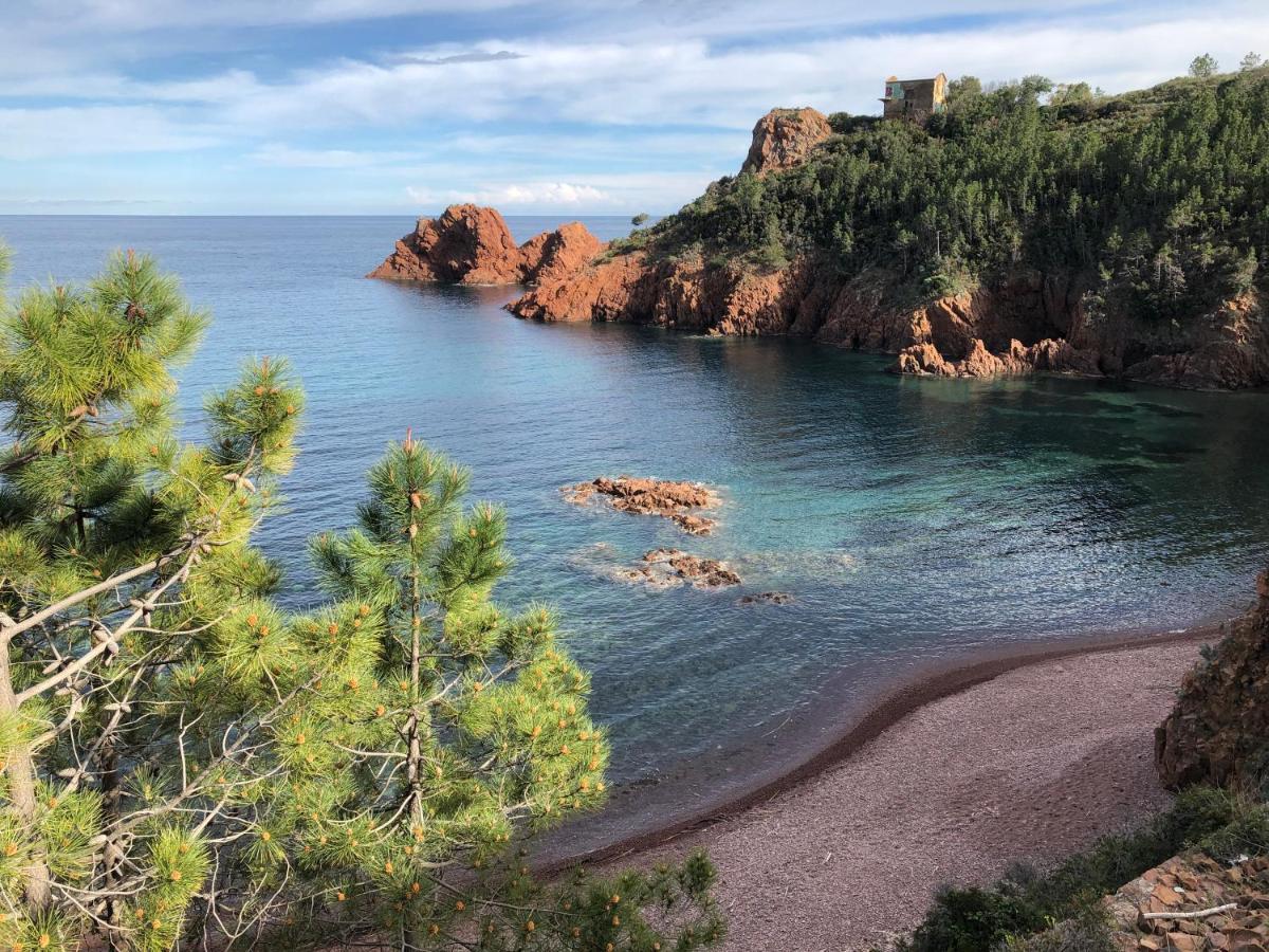 Luxury Family 2Br - Prime Location, Walk To Beach & Shopping, Sunny Balcony - Totolulu Cannes Hoche エクステリア 写真